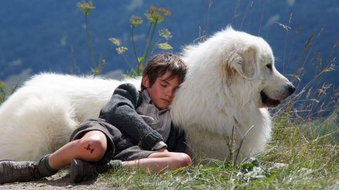 Belle & Sebastien - L'avventura continua