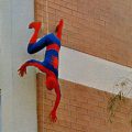 The-Amazing-Spider-Man