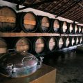 marocco-la-strada-dei-vini