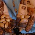 marocco-la-strada-dell-argan