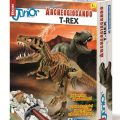 T-rex Focus Junior
