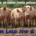 regione lazio foto di gruppo478