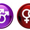 gay
