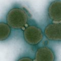 Scientists construct synthetic living cell powered by manmade DNA