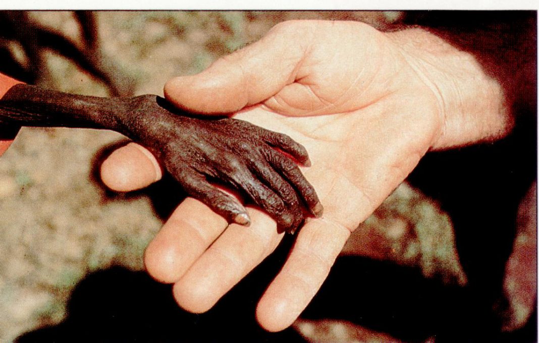 Povertà, infanzia: Save the Children, in Italia in drastico aumento la povertà minorile Povertà, infanzia: Save the Children, in Italia in drastico aumento la povertà minorile