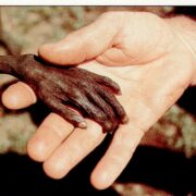poverta