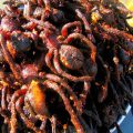 tarantole-fritte