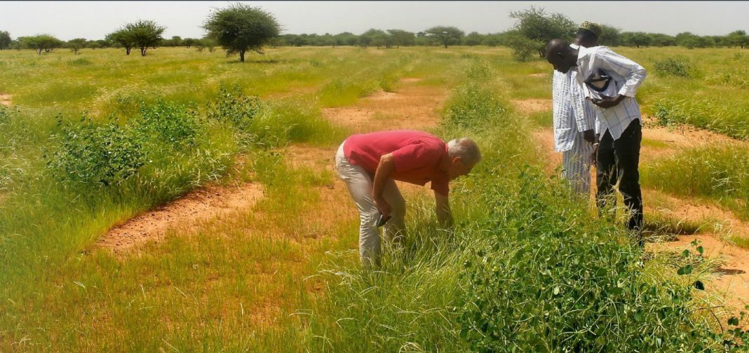 Il contributo di Europcar e dei suoi clienti al rimboschimento del deserto del Burkina Faso con We Forest Il contributo di Europcar e dei suoi clienti al rimboschimento del deserto del Burkina Faso con We Forest