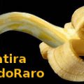 Satira