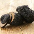 delicacy mushroom black truffle  –  rare and expensive vegetable