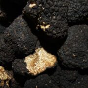 tartufo nero