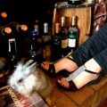Hot Strass The Flexx scelto da MondoRaro