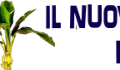BananaTv11
