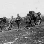 Animali nella Grande Guerra