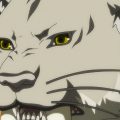 s007_020_0063