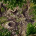 s03_029_0066