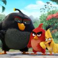 angry birds