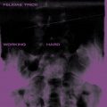 Felidae Trick – Working Hard