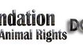 Figh For Animal Rights Donate Now