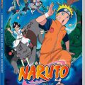 Naruto – Il film: I Guardiani del Regno della Luna Crescente