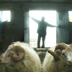 Rams – Storia di due fratelli e otto pecore