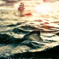 Pirates of the Caribbean: Dead Men Tell No Tales 1