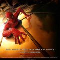 Spider Man (13)
