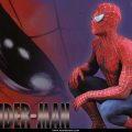 Spider Man (17)