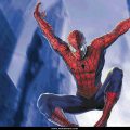 Spider Man (18)
