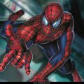 Spider Man (19)