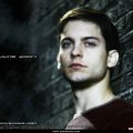 Spider Man (3)