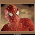 Spider Man (31)