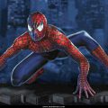 Spider Man (37)