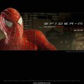 Spider Man (39)