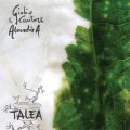 Talea