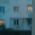 FF_01849484
