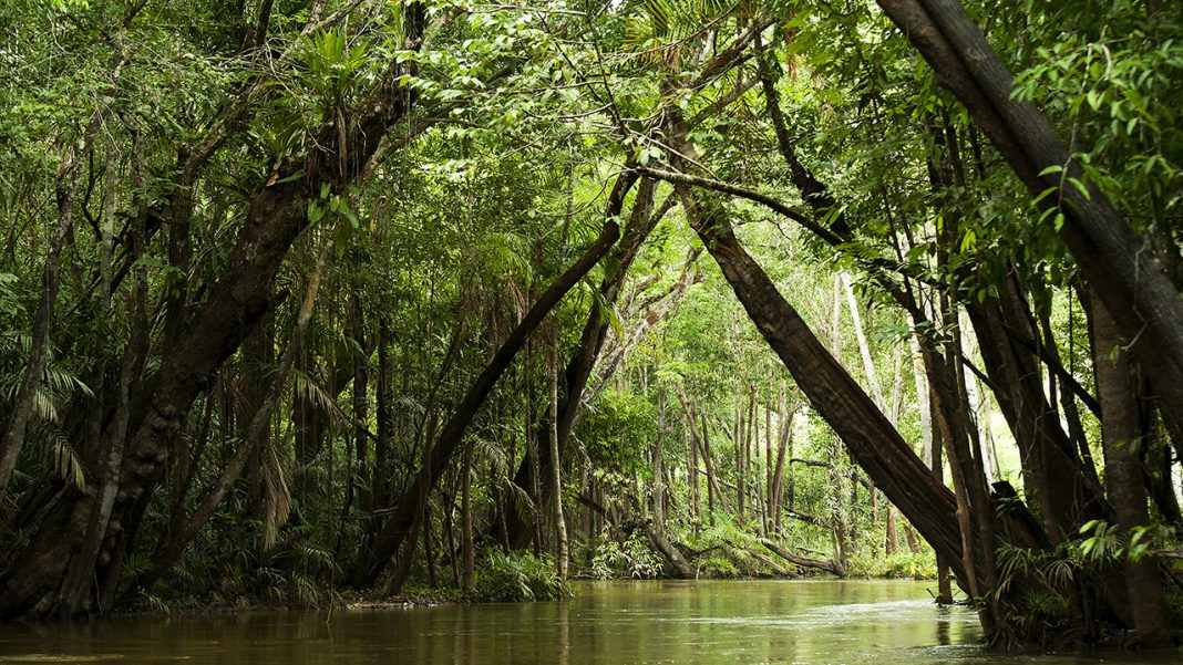 Ancora una diga per affogare l’Amazzonia Ancora una diga per affogare l’Amazzonia