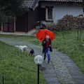 bozzetto_stills_06