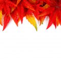 autunno