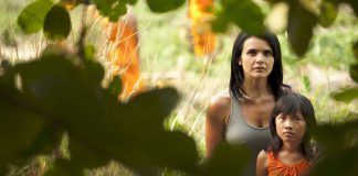 Talking to the Trees