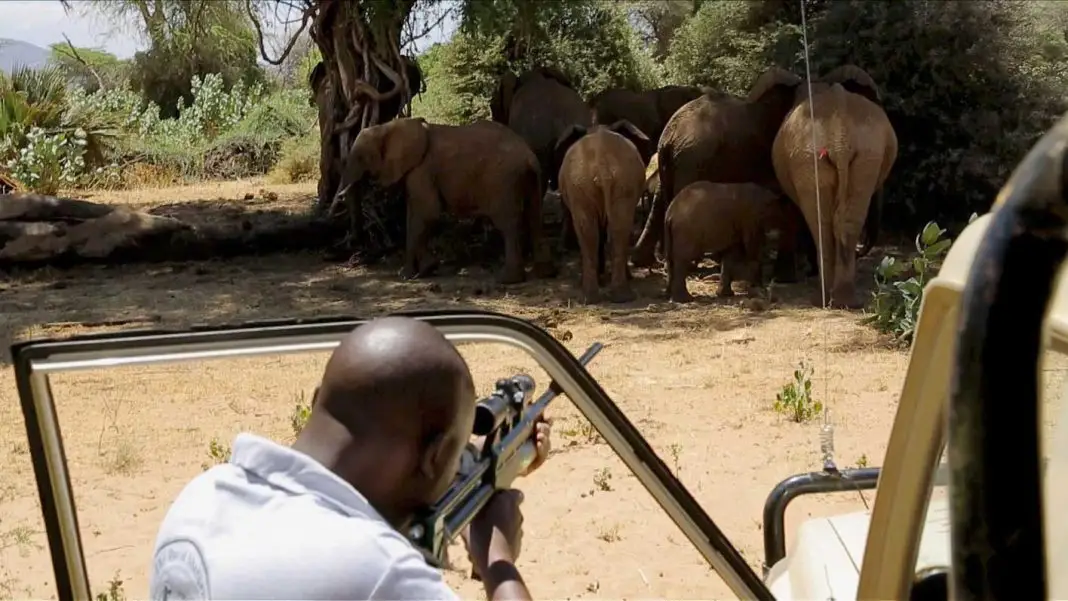 Ivory. A Crime Story Ivory. A Crime Story