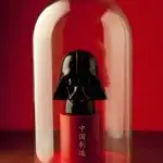 Marco Bertin Darth Father