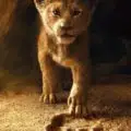 lion_king_xlg