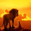 Il Re Leone