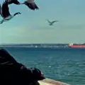 La seconda patria