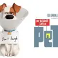 Pets 2 Vita da animali