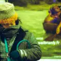 Shelter – Addio all’Eden
