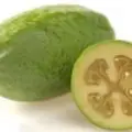 Feijoa