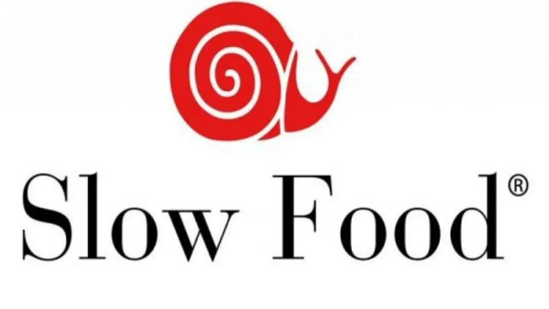 Slow Food su Ogm e Nbt: «Non abbassiamo la guardia!» Slow Food su Ogm e Nbt: «Non abbassiamo la guardia!»