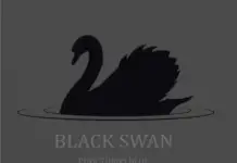 Pink Turns Blue – Black Swan (But I Know There is More to Life)